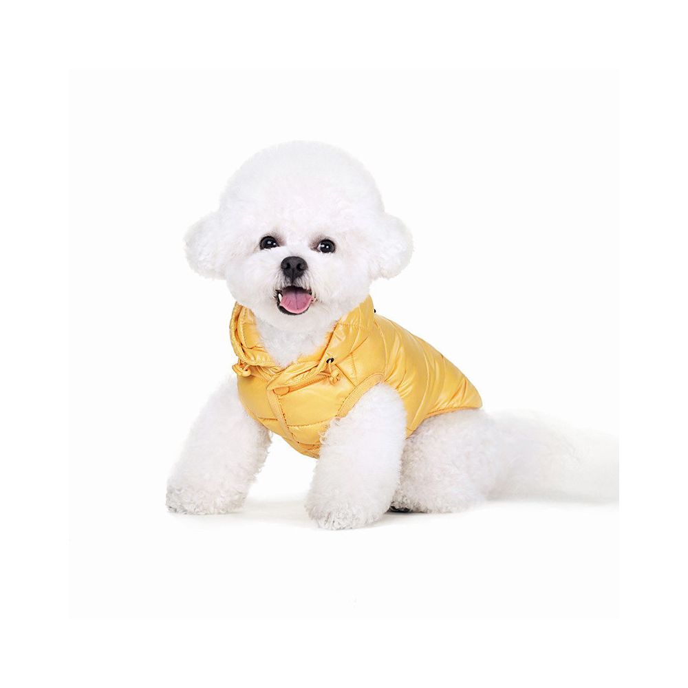 Pet Clothes