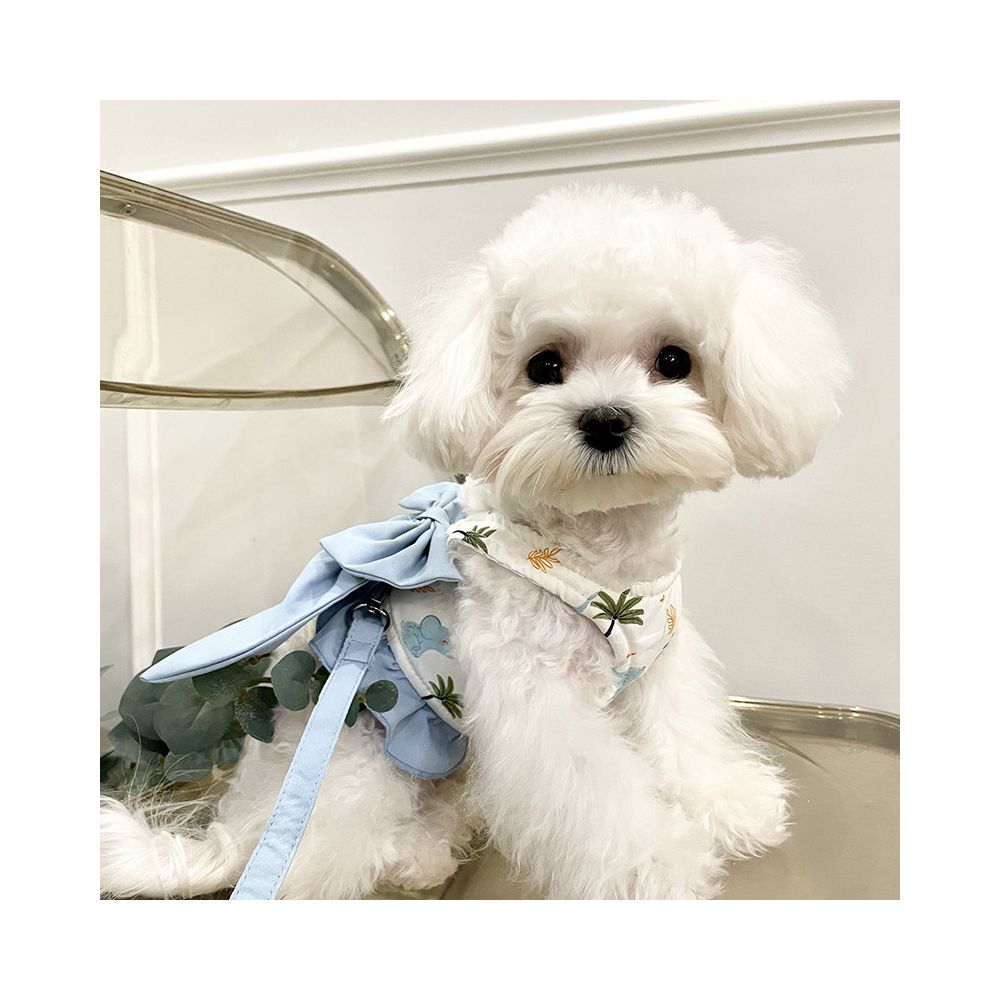 Leash &Harness