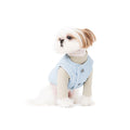 DailyPup Vest