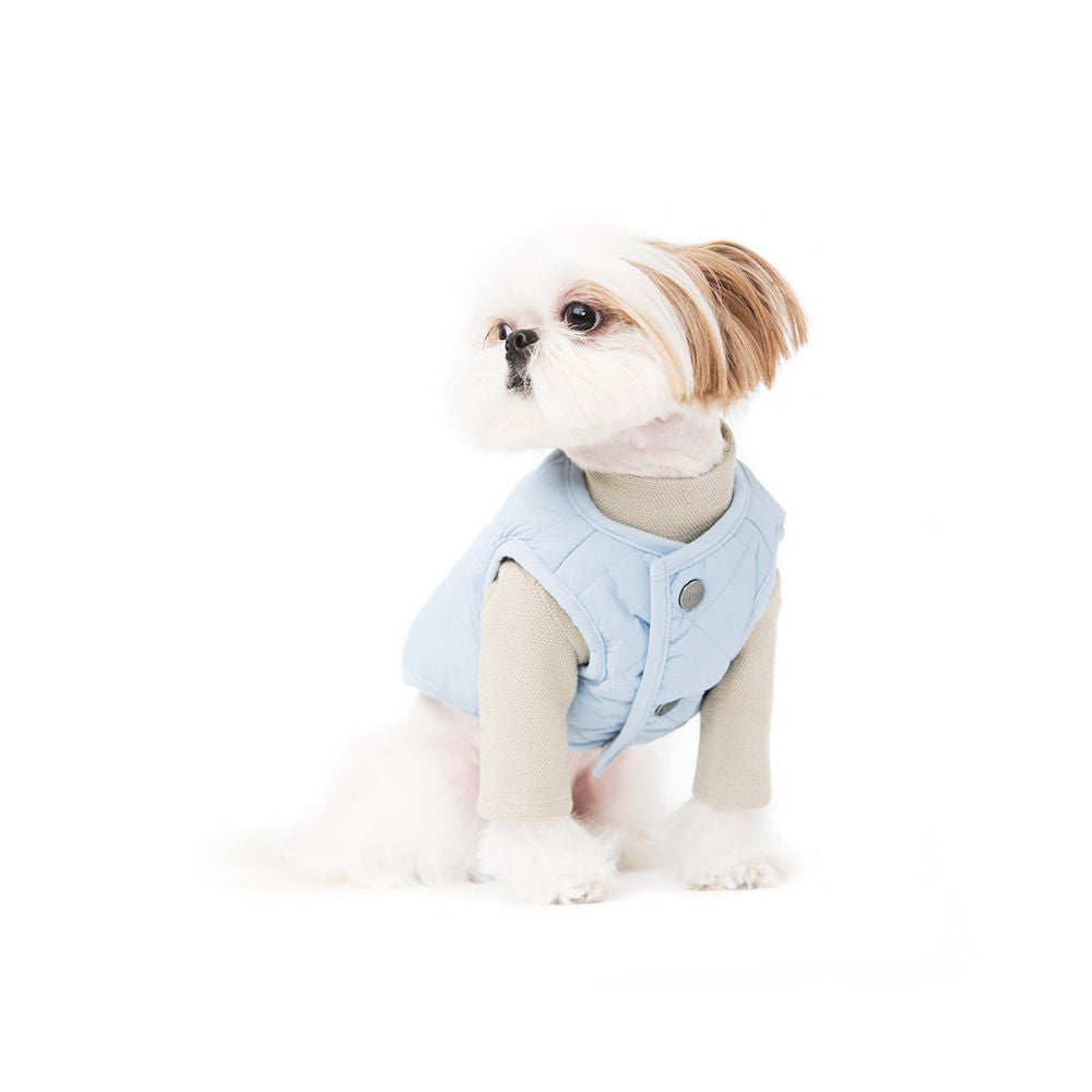 DailyPup Vest