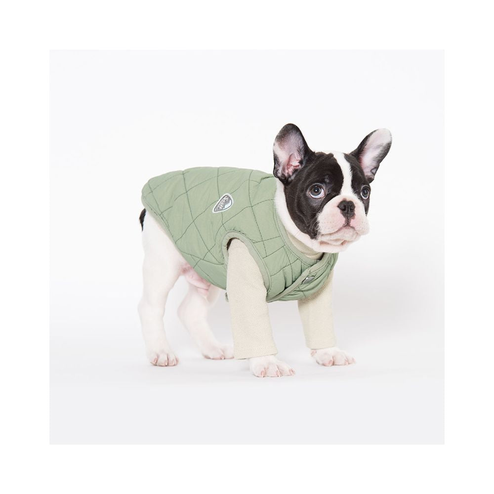 DailyPup Vest
