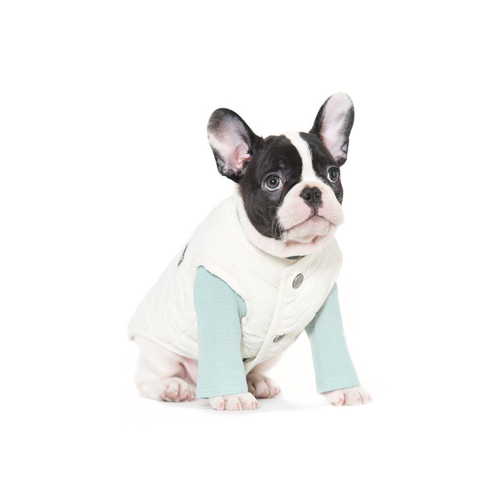 DailyPup Vest
