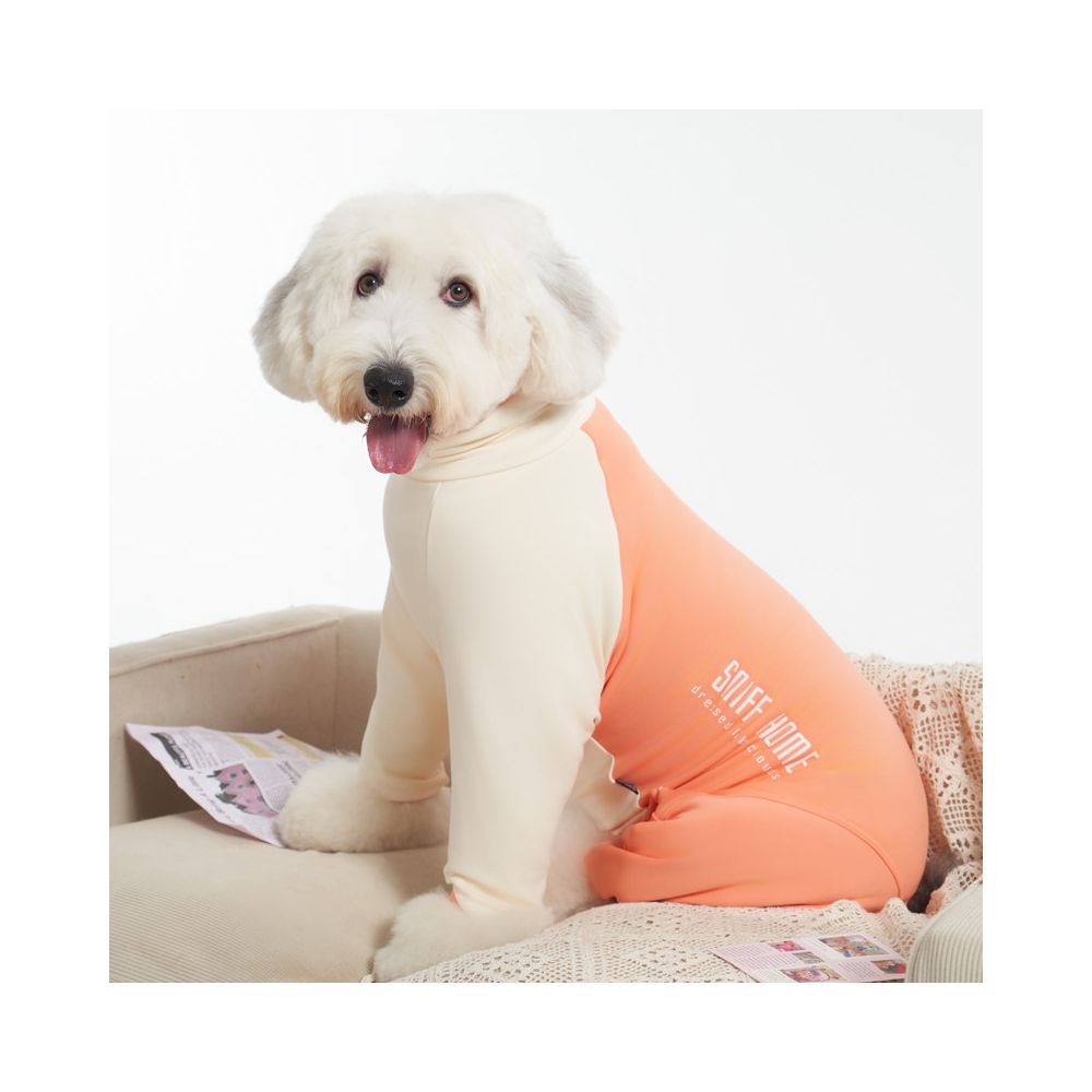 Sniff Home Cozy Suit