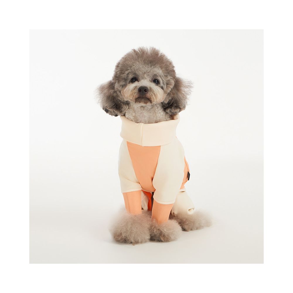 Sniff pet dog cat autumn and winter clothes thermal storage air cotton clothes teddy bear small and medium sized dog clothes image 4