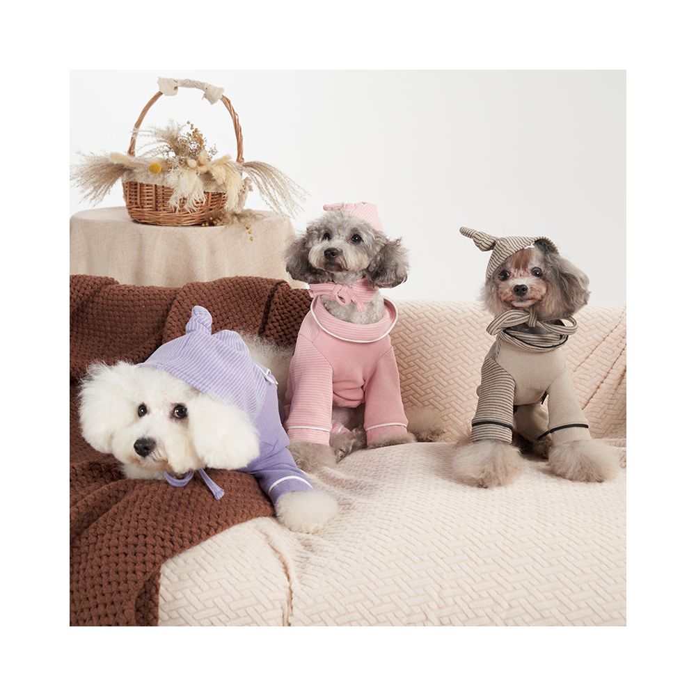 Sniff Pet Dog Cat Autumn and Winter Clothes Colorful Velvet Soft and Comfortable Home Clothes Small Dog Clothes image 1