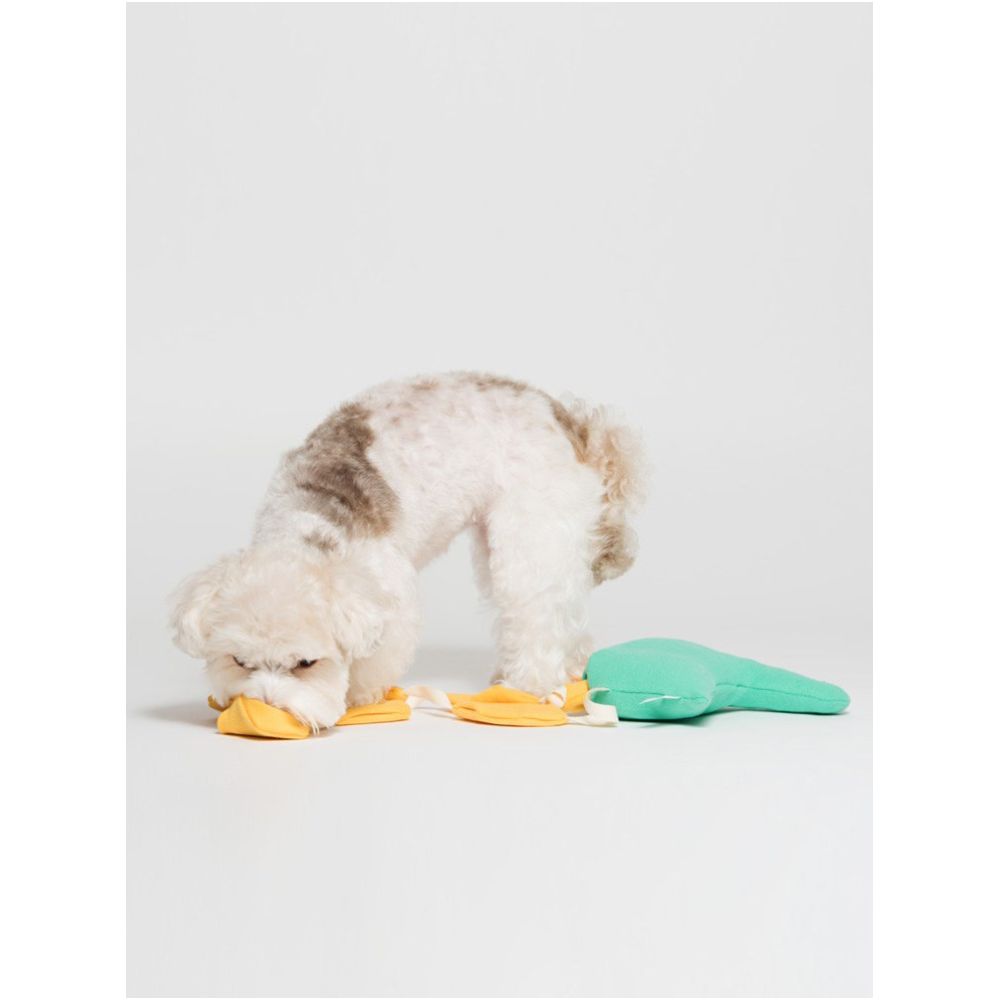 Sniff Pet Dog Cat Toy Fun Golden Egg Chicken Leakage Toy Teasing Cat Teasing Dog Artifact image 3