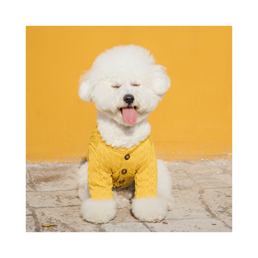 Sniff Pet Dog Cat Spring Autumn Knitted Short Base Layer Top for Teddy French Bulldog Bichon Frise and Small Dogs image 2