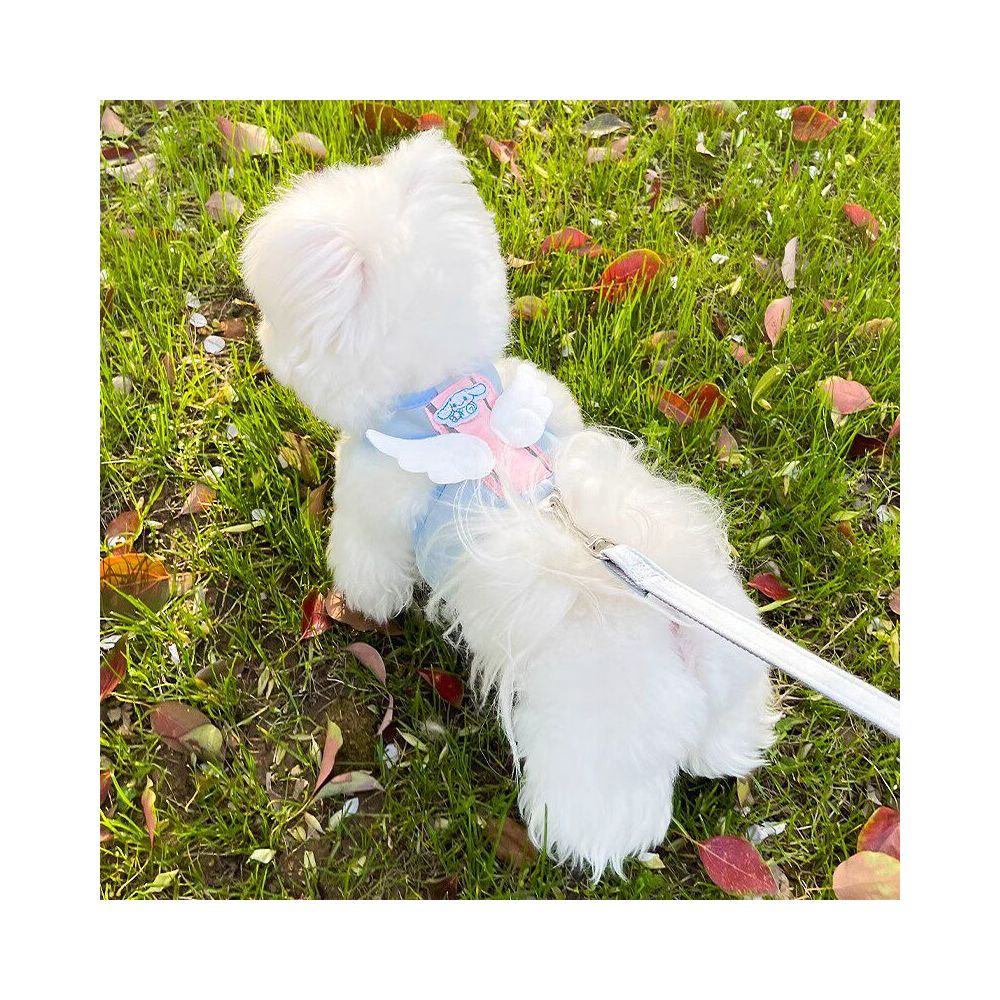 Cinnamon Dog co branded dog leash vest style dog walker chain for small dogs and Teddy dogs image 5
