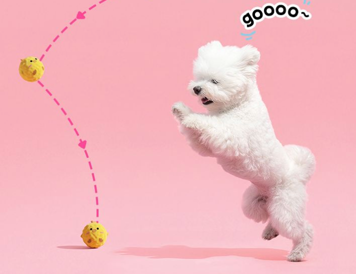 Bouncy Balls