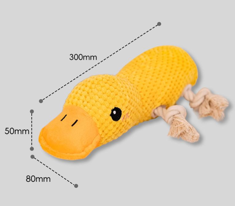 Squeaky Toys