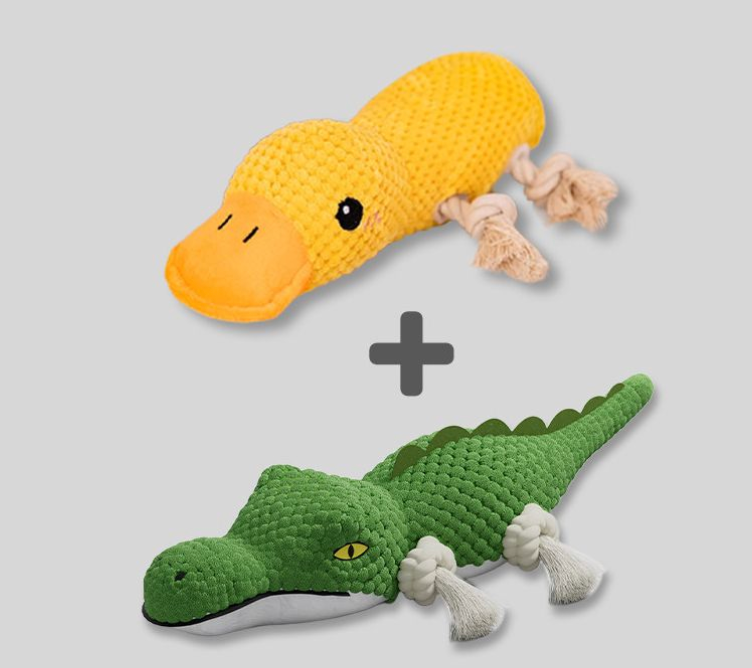 Squeaky Toys
