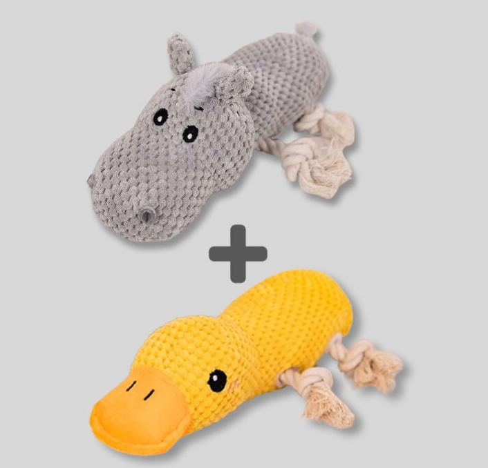 Squeaky Toys