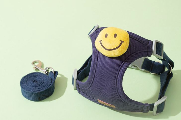 Variety of cute leashes