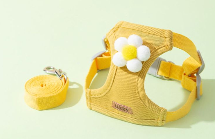 Variety of cute leashes