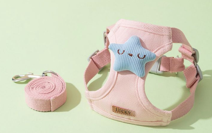Variety of cute leashes