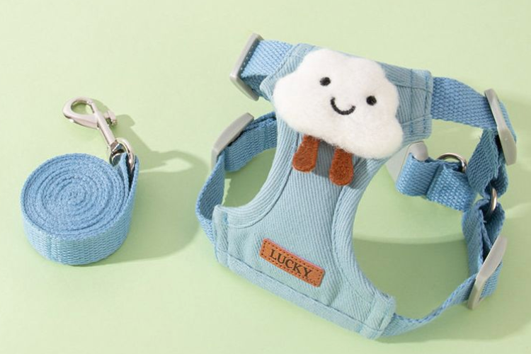 Variety of cute leashes