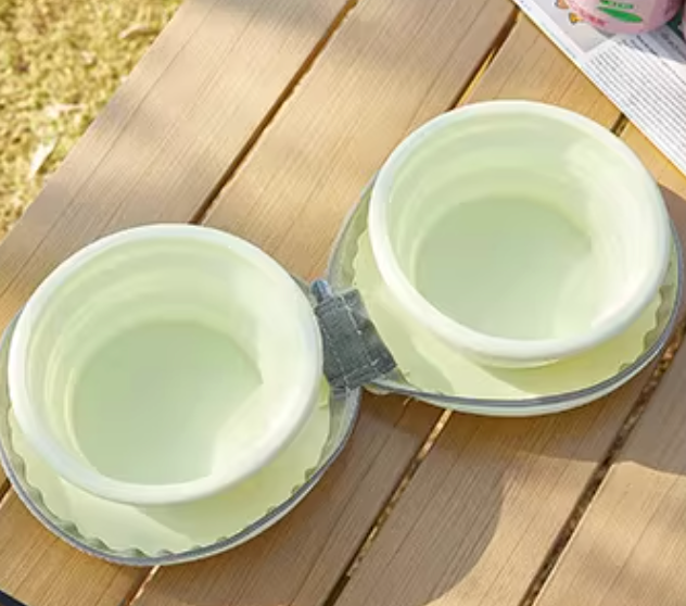 Portable Travel Bowl